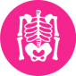 Icon_Musculoskeletal