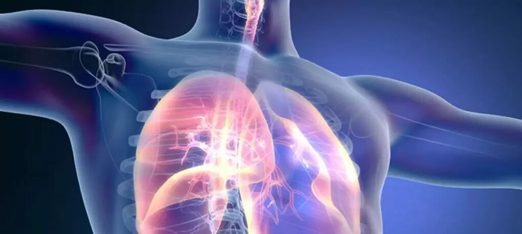 Vein Finders Assessing lung Disorders Treatment